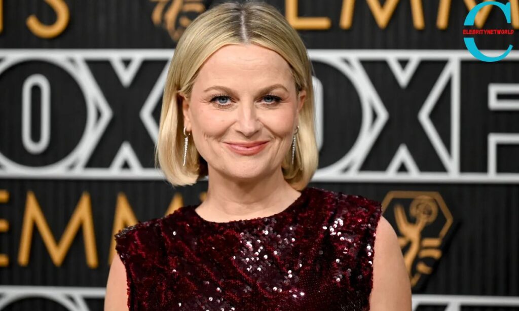 amy poehler